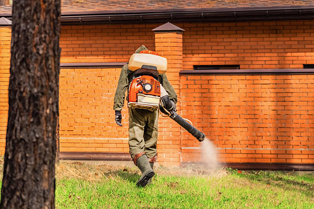 Trusted Ant Control service in Yutan, NE - Nex Pest Control